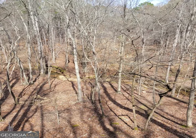 2nd image of 2600 Mcpherson Church Rd, Dallas, GA 30132 | MLS# 10718728