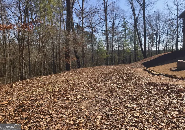 Photo 2 of Sale Pending at 0 S River Rd, Douglasville, GA 30135 | MLS# 20077162 | Listing updated on 2026-06-03