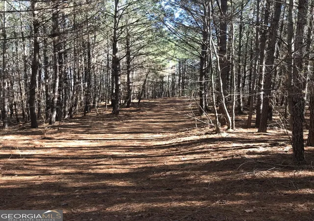 Photo 3 of Sale Pending at 0 S River Rd, Douglasville, GA 30135 | MLS# 20077162 | Listing updated on 2026-06-03
