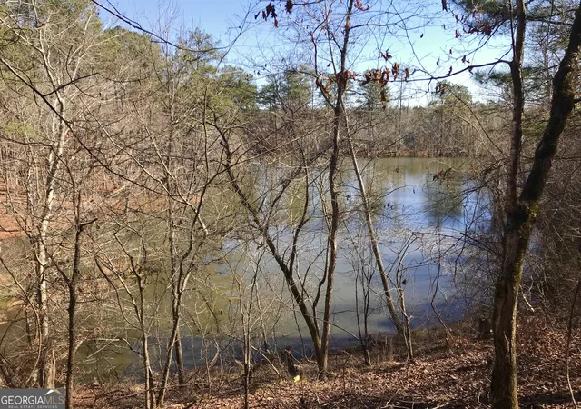 Photo 4 of Sale Pending at 0 S River Rd, Douglasville, GA 30135 | MLS# 20077162 | Listing updated on 2026-06-03