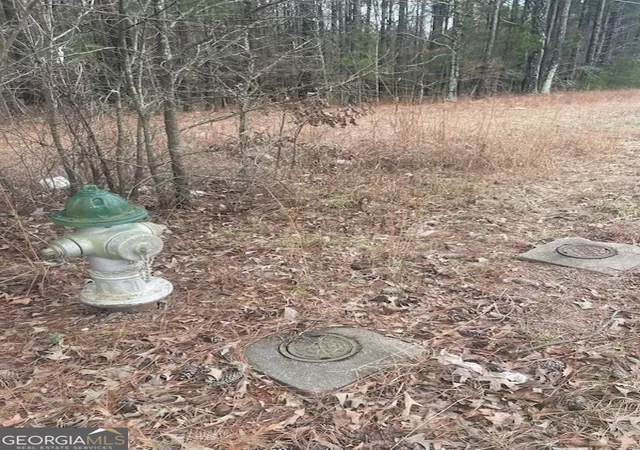 Photo 5 of Land for sale at 4000 Danielsville Rd, Athens, GA 30601 | MLS# 10699015 | Listing updated on 2026-05-24