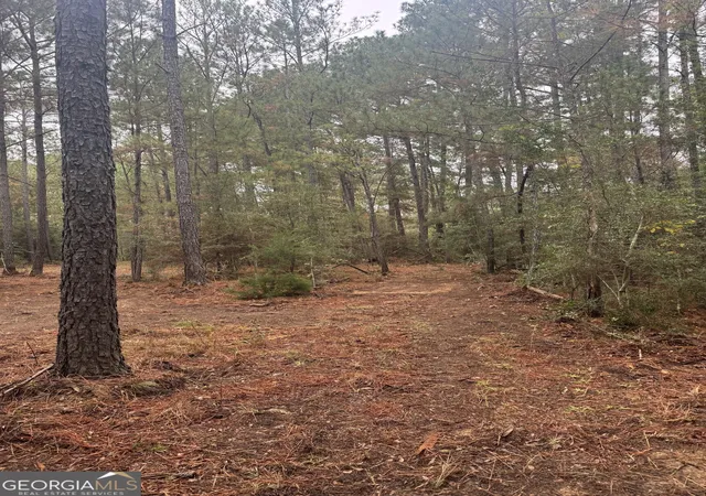 Photo 4 of Land for sale at 1949 Deerwood Pl, Macon, GA 31211 | MLS# 10614045 | Listing updated on 2026-08-10