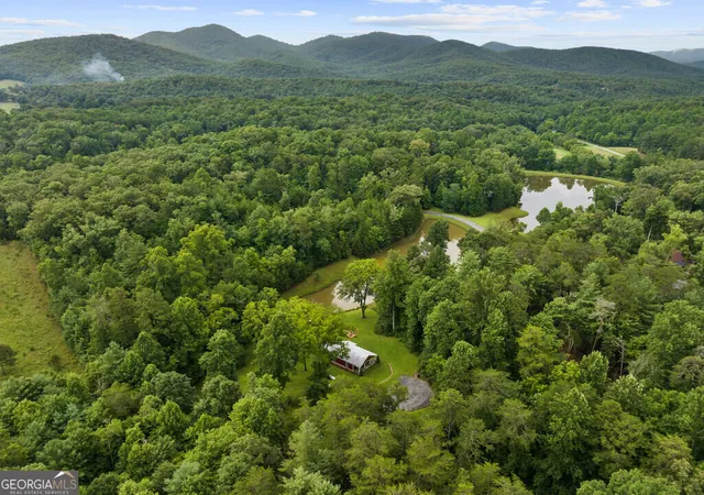 31st image of 30 Seabolt, Morganton, GA 30560 | MLS# 10821552