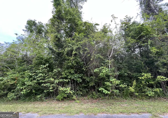 Photo 3 of Sale Pending at 204 W Meeting St, St. Marys, GA 31558 | MLS# 10730774 | Listing updated on 2026-09-25