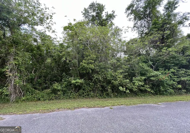 Photo 4 of Sale Pending at 204 W Meeting St, St. Marys, GA 31558 | MLS# 10730774 | Listing updated on 2026-09-25