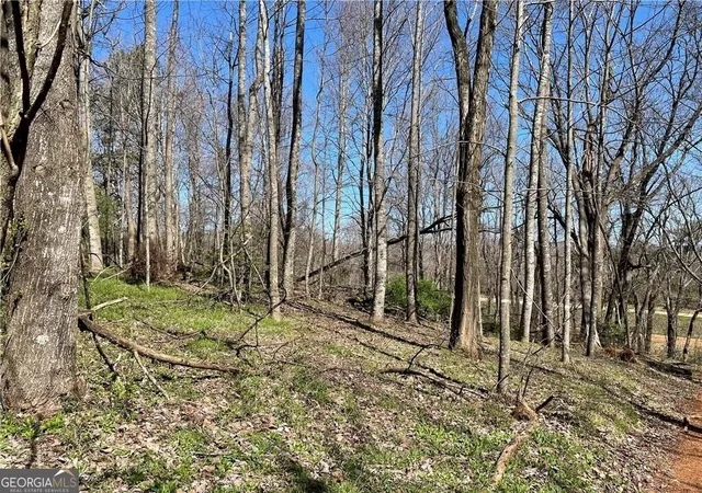 Photo 1 of Land for sale at 645 Nimblewill Church Rd, Dahlonega, GA 30533 | MLS# 10877000 | Listing updated on 2026-10-28
