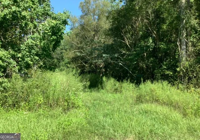 1st image of 0 Burnt Fort Rd, White Oak, GA 31568 | MLS# 10805331