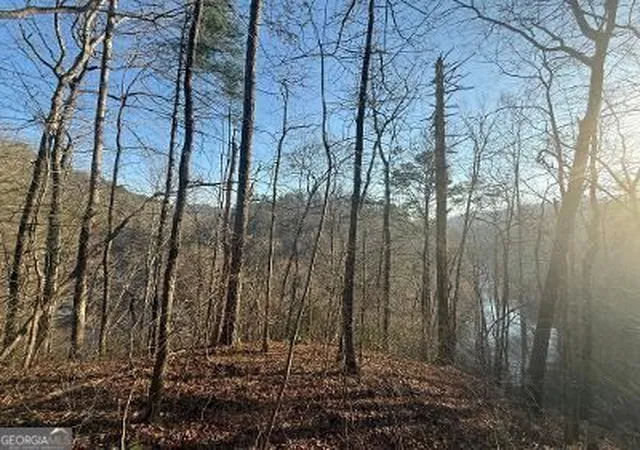 Photo 4 of Land for sale at 0 Elk Trl, Talking Rock, GA 30175 | MLS# 10834372 | Listing updated on 2026-09-10