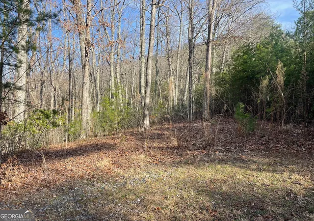 1st image of Lot 14 Big Cove Dr, Hiawassee, GA 30546 | MLS# 10712611