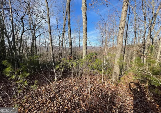 9th image of Lot 14 Big Cove Dr, Hiawassee, GA 30546 | MLS# 10712611