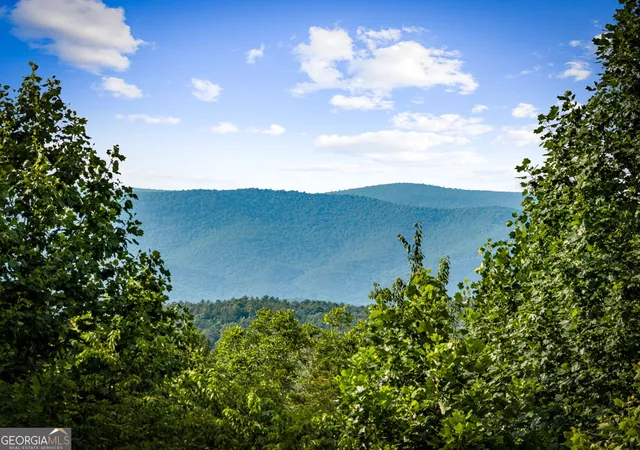 Photo 3 of Single family home for sale at 290 Old Anderson Crk Rd, Ellijay, GA 30536 | MLS# 10790509 | Listing updated on 2026-10-08