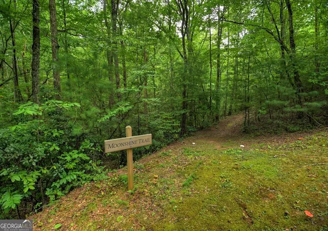 Photo 92 of Single family home for sale at 290 Old Anderson Crk Rd, Ellijay, GA 30536 | MLS# 10790509 | Listing updated on 2026-07-23