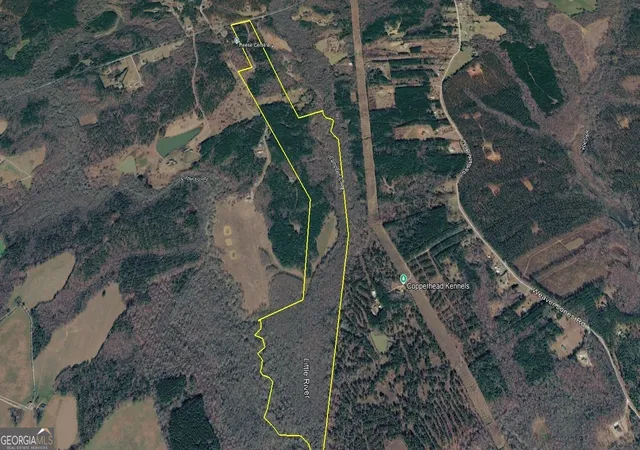 Homes for sale in Rutledge, GA | 2230 Reese Rd #TRACT C, Rutledge, GA 30663 | MLS# 10733315