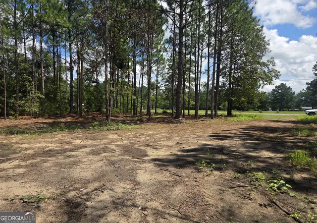 3rd image of 453 Salter Moon Rd, East Dublin, GA 31027 | MLS# 10836918
