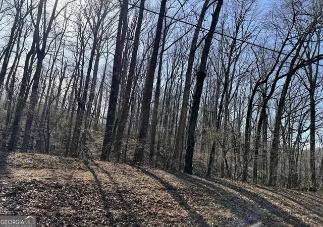 Photo 1 of Land for sale at 0 Wall Rd, Winder, GA 30680 | MLS# 10504981 | Listing updated on 2026-05-01