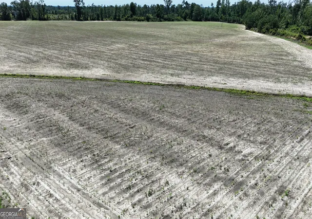 1st image of 08600022t1 Redbird Rd, Lumber City, GA 31549 | MLS# 10516121