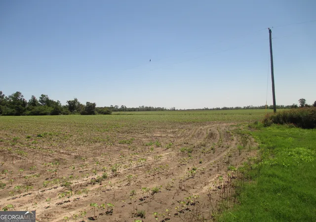 3rd image of 08600022T1 Redbird Rd, Lumber City, GA 31549 | MLS# 10516121
