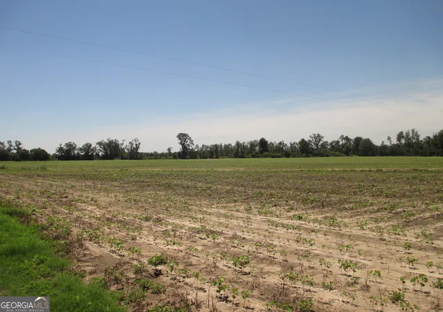4th image of 08600022T1 Redbird Rd, Lumber City, GA 31549 | MLS# 10516121