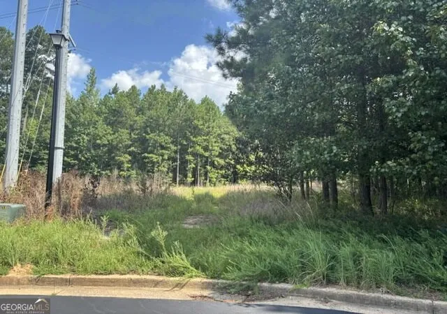 1st image of 3030 Wood Valley Ct, Loganville, GA 30052 | MLS# 10823497