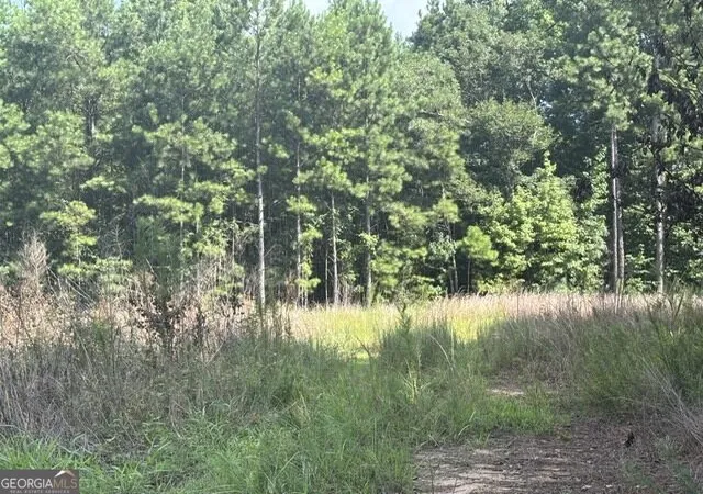 2nd image of 3030 Wood Valley Ct, Loganville, GA 30052 | MLS# 10823497