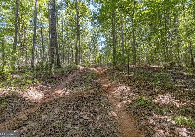 5th image of 231 Lower Lovelace Rd, West Point, GA 31833 | MLS# 10816989