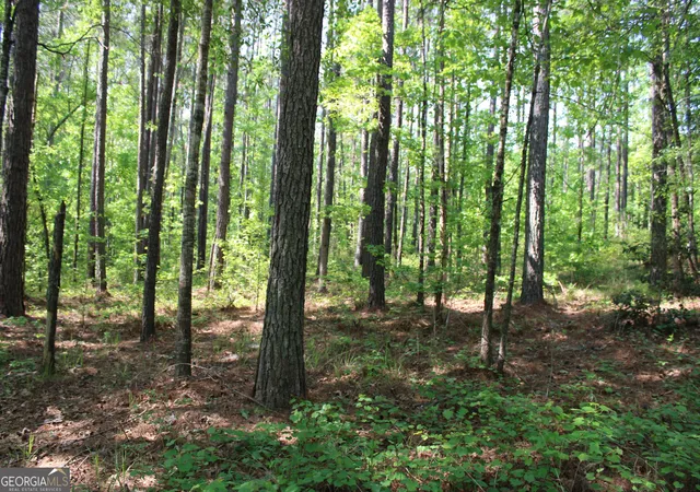 Photo 1 of Land for sale at 0 Hwy 87 Tract 2, Forsyth, GA 31029 | MLS# 10772397 | Listing updated on 2026-06-10