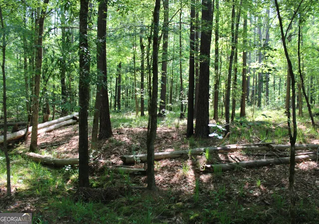 Photo 2 of Land for sale at 0 Hwy 87 Tract 2, Forsyth, GA 31029 | MLS# 10772397 | Listing updated on 2026-06-10