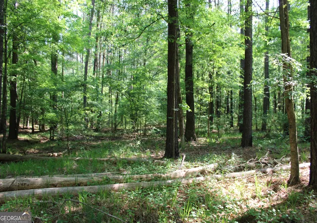 Photo 3 of Land for sale at 0 Hwy 87 Tract 2, Forsyth, GA 31029 | MLS# 10772397 | Listing updated on 2026-06-10