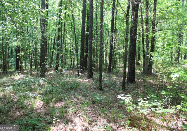 Photo 3 of Land for sale at 0 Hwy 87 Tract 2, Forsyth, GA 31029 | MLS# 10772397 | Listing updated on 2026-06-10