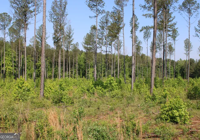 Photo 4 of Land for sale at 0 Hwy 87 Tract 2, Forsyth, GA 31029 | MLS# 10772397 | Listing updated on 2026-06-10