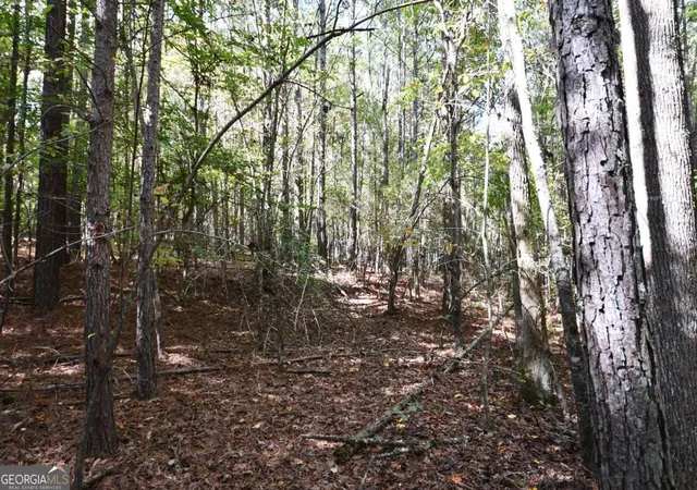 Photo 1 of Land for sale at 00001 Poplar Springs Rd, Buchanan, GA 30113 | MLS# 10409523 | Listing updated on 2025-10-24
