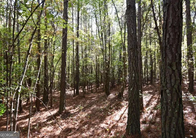 Photo 2 of Land for sale at 00001 Poplar Springs Rd, Buchanan, GA 30113 | MLS# 10409523 | Listing updated on 2025-10-24