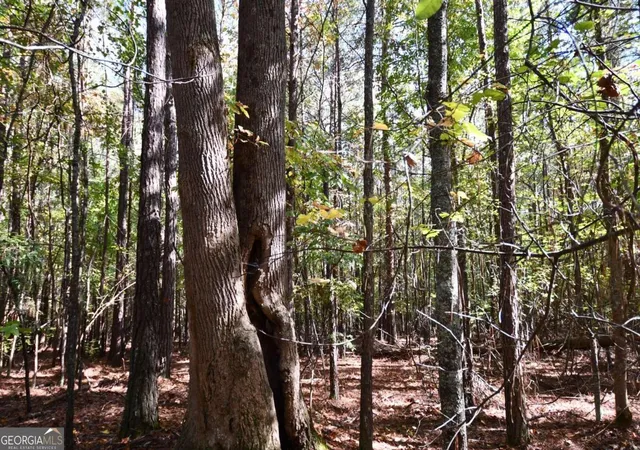 Photo 3 of Land for sale at 00001 Poplar Springs Rd, Buchanan, GA 30113 | MLS# 10409523 | Listing updated on 2025-10-24