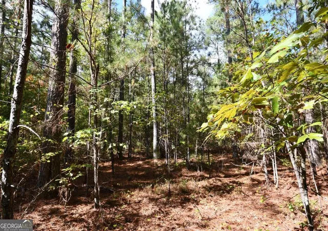 Photo 3 of Land for sale at 00001 Poplar Springs Rd, Buchanan, GA 30113 | MLS# 10409523 | Listing updated on 2025-10-24