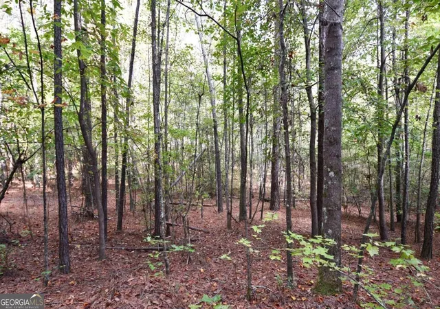 Photo 4 of Land for sale at 00001 Poplar Springs Rd, Buchanan, GA 30113 | MLS# 10409523 | Listing updated on 2025-10-24