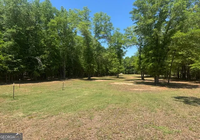 Homes for sale in Dawson, GA | 4008 Horseshoe Rd, Dawson, GA 39842 | MLS# 10752850