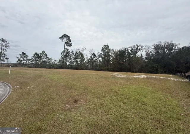 Photo 3 of Land for sale at 316 Bateau Dr, Saint Marys, GA 31558 | MLS# 10776304 | Listing updated on 2026-06-16