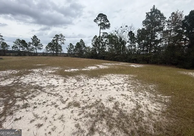 Photo 3 of Land for sale at 316 Bateau Dr, Saint Marys, GA 31558 | MLS# 10776304 | Listing updated on 2026-06-16