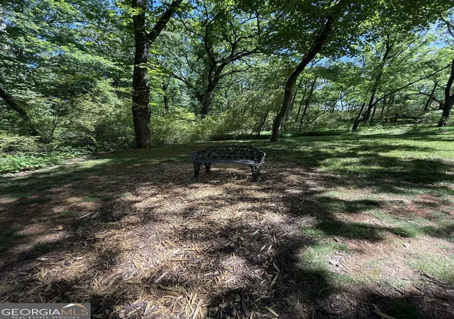 Homes for sale in Mount Airy, GA | 110 Cody Rd, Mount Airy, GA 30563 | MLS# 10768825
