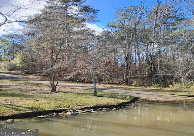 20th image of 1190 Waterstone Dr, Madison, GA 30650 | MLS# 10824128