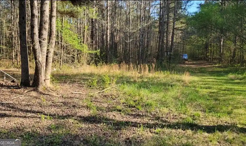Photo 1 of Land for sale at 0 Pierce Dairy Road, Madison, GA 30650 | MLS# 20102766 | Listing updated on 2026-10-01