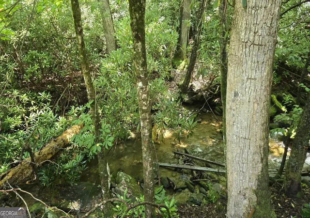 Photo 3 of Land for sale at 1536 Creek Rd, Hiawassee, GA 30546 | MLS# 10795712 | Listing updated on 2026-07-14