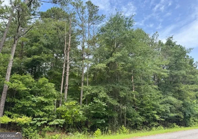 Homes for sale in Lizella, GA | 2320 Sofkee Cir, Lizella, GA 31052 | MLS# 10792410