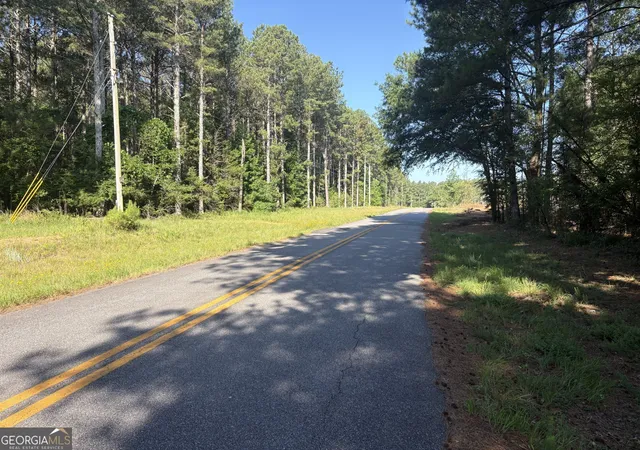 Homes for sale in Carlton, GA | 41 Elton Stewart Rd, Carlton, GA 30627 | MLS# 10800954