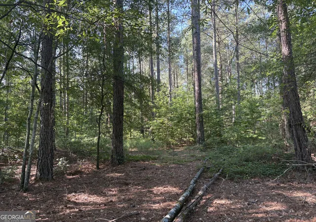 Homes for sale in Carlton, GA | 41 Elton Stewart Rd, Carlton, GA 30627 | MLS# 10800954