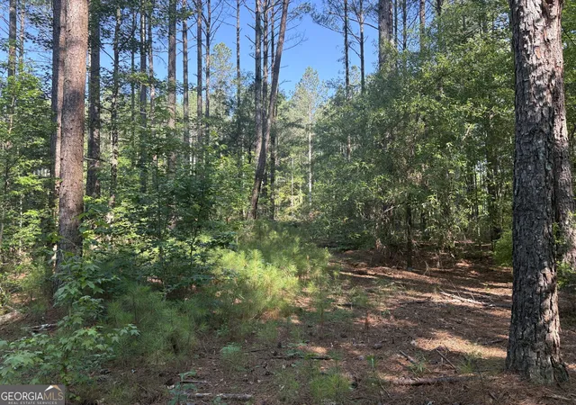 Homes for sale in Carlton, GA | 41 Elton Stewart Rd, Carlton, GA 30627 | MLS# 10800954