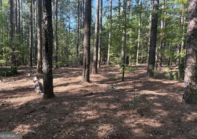 Homes for sale in Carlton, GA | 41 Elton Stewart Rd, Carlton, GA 30627 | MLS# 10800954