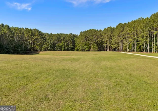 Photo 4 of Land for sale at 290 T W Leverette Rd, Jackson, GA 30233 | MLS# 10815088 | Listing updated on 2026-08-12