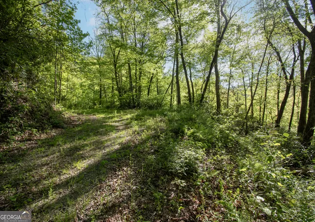 Homes for sale in Robbinsville, NC | 0 Walnut Cove Branch Road, Robbinsville, NC 28771 | MLS# 10765951