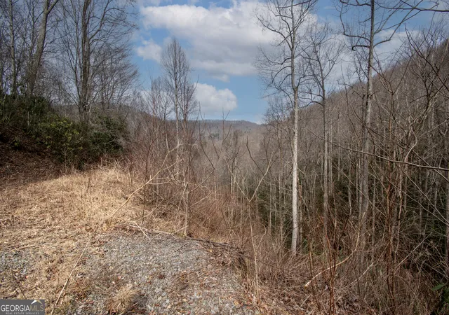 Homes for sale in Robbinsville, NC | 0 Walnut Cove Branch Road, Robbinsville, NC 28771 | MLS# 10765951
